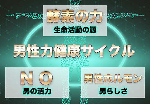バリテインのコンセプト