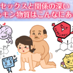 セックスと関係の深いホルモン物質一覧！ドーパミン、テストステロン、PEA、エストロゲンなど。